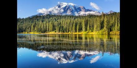 Mount Rainier National Park Hotels: Compare Hotels in Mount Rainier  National Park from $100/night on KAYAK