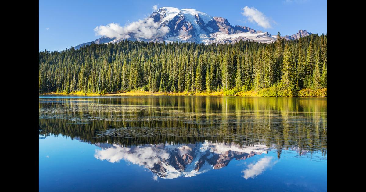 Mount Rainier National Park Hotels: Compare Hotels in Mount Rainier  National Park from $100/night on KAYAK