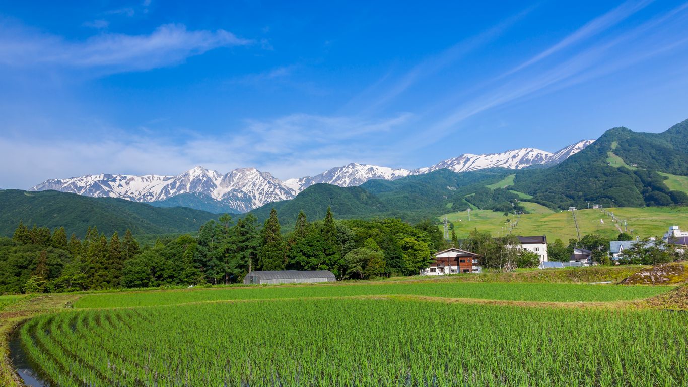 Hotels in Otari