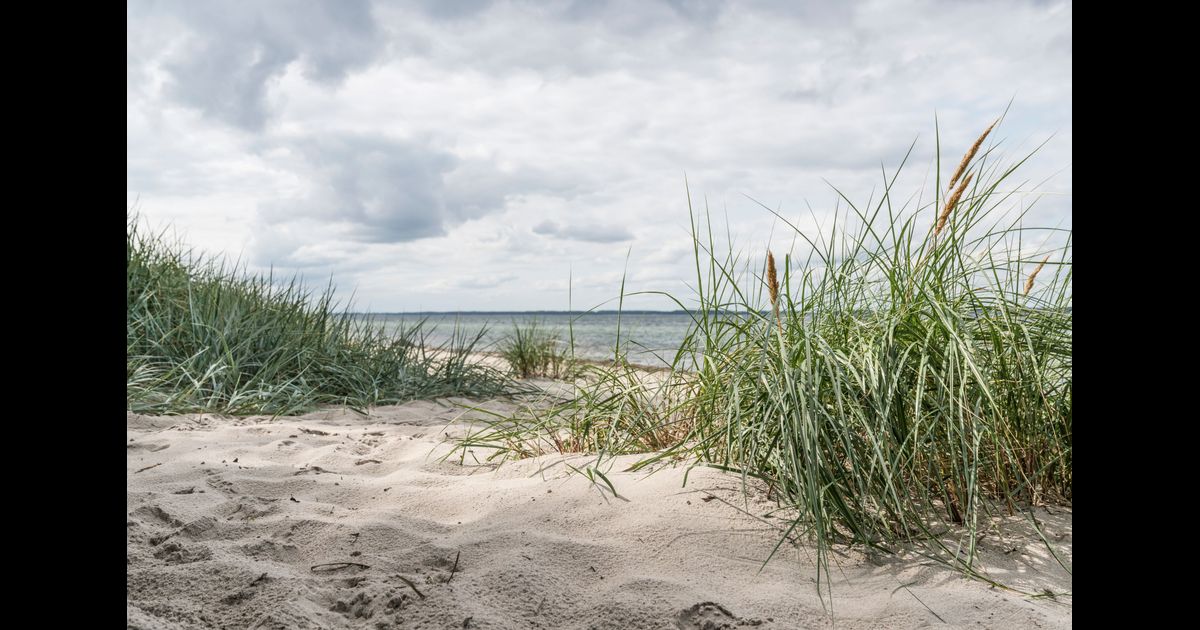 Best SchleswigHolstein Vacation Rentals from 71/night KAYAK