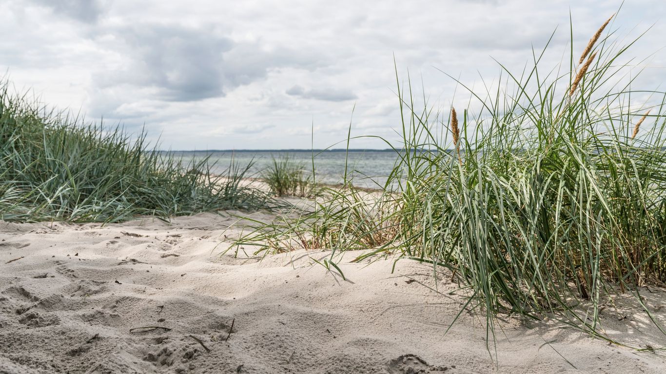 Vacances à Schleswig-Holstein