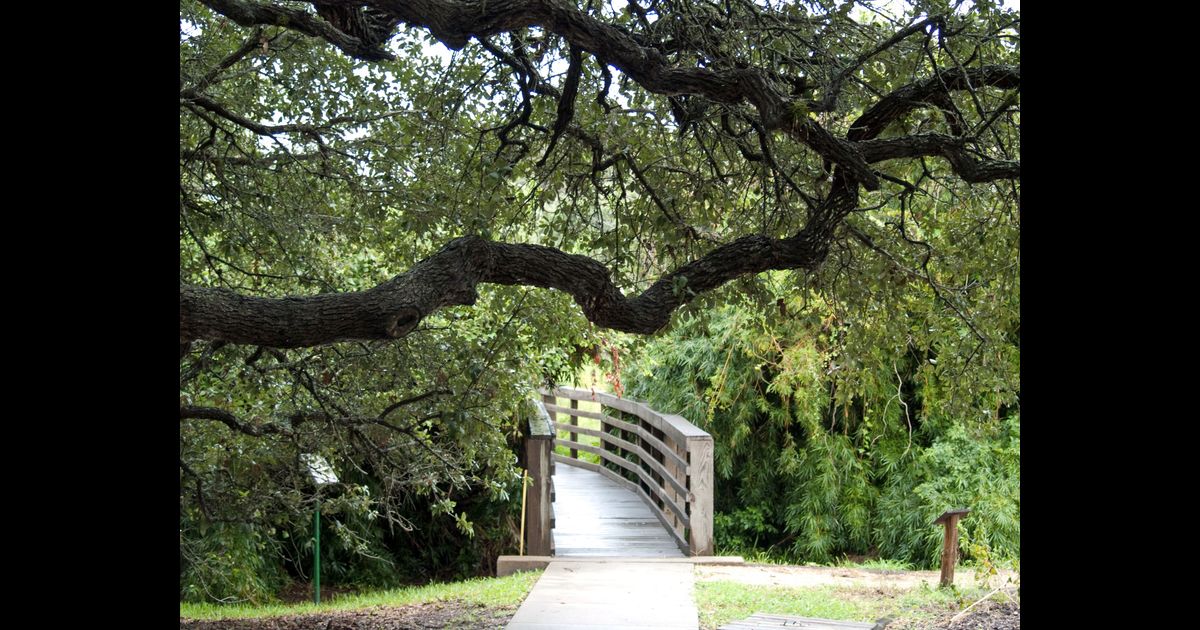 Car Rentals in Rockport Search for Rental Cars on KAYAK
