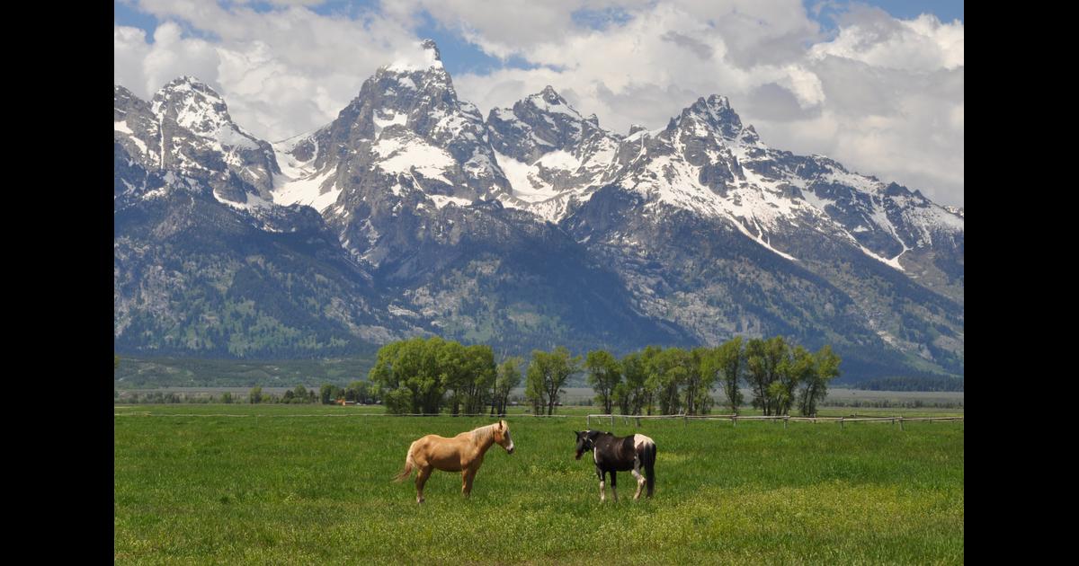 Cheap Car Rentals in Jackson, WY from just 51 momondo Cheap Car Rentals in Jackson, WY from just 51 momondo