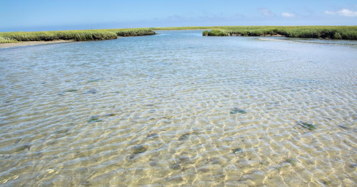 Eastham Hotels Compare Best Hotels in in Eastham KAYAK