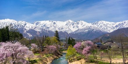 白馬村のホテル一覧 Kayak 白馬村のホテル一覧 Kayak