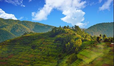 Bwindi National Park hotels