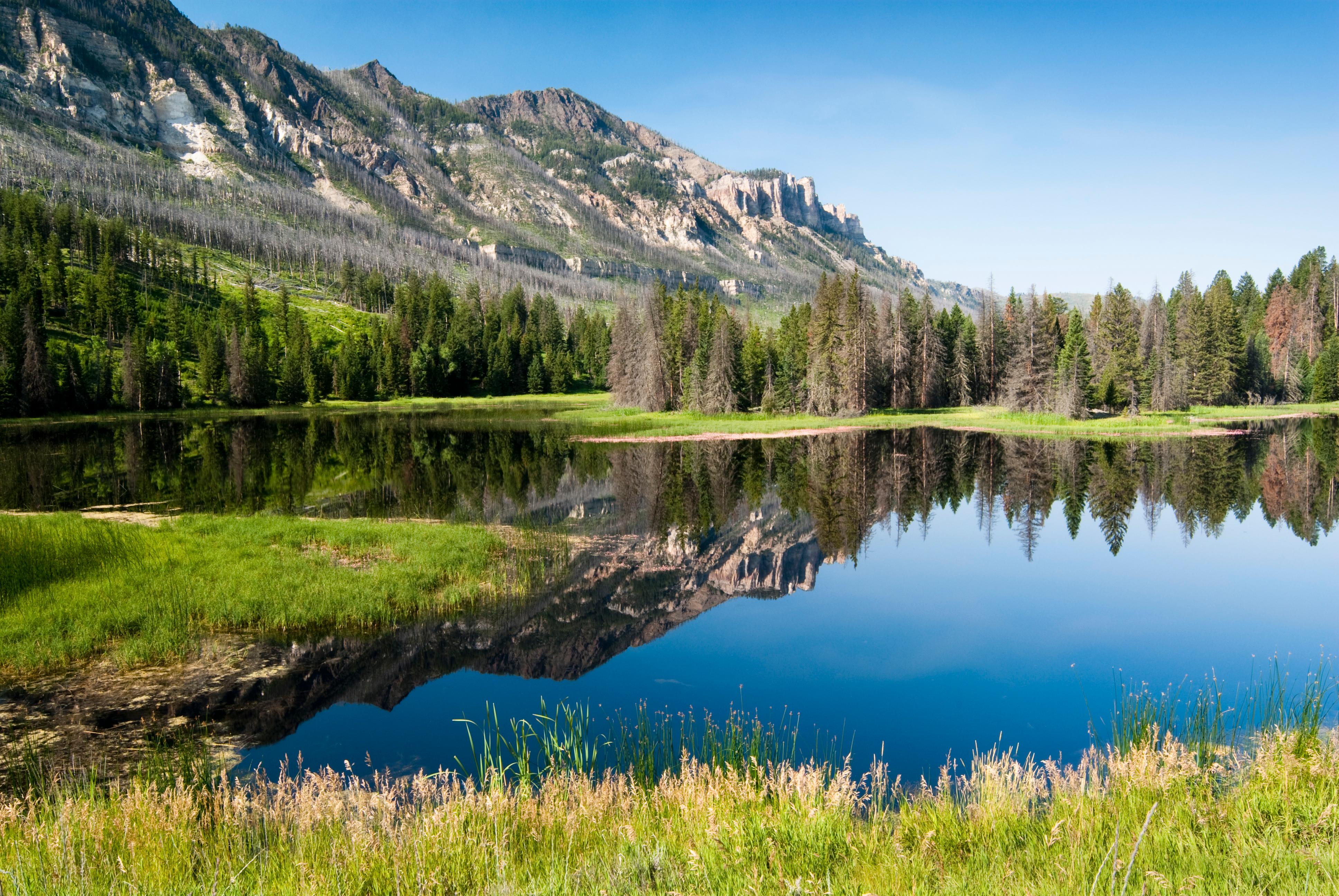 Cheap Flights to Wyoming from 29 KAYAK