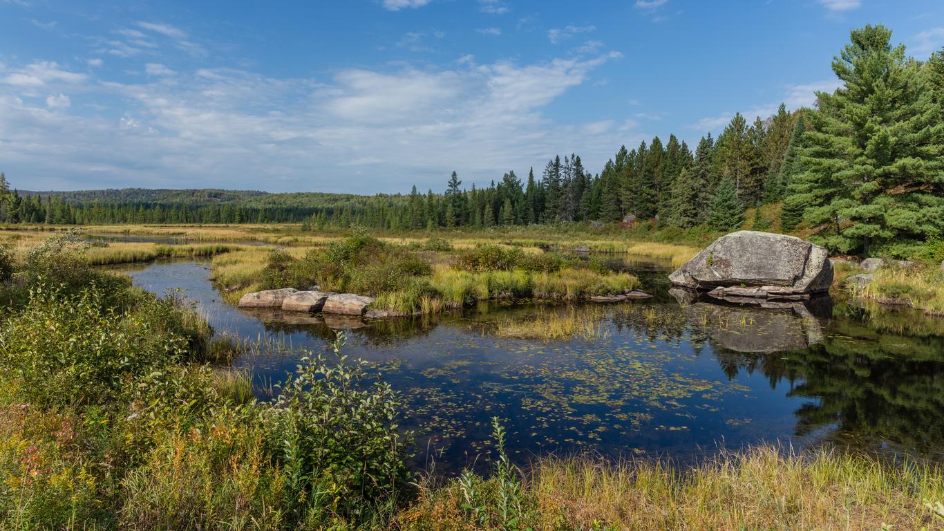 Vacations in Algonquin Park