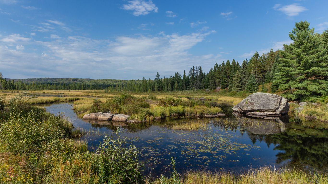 Férias em Algonquin Park