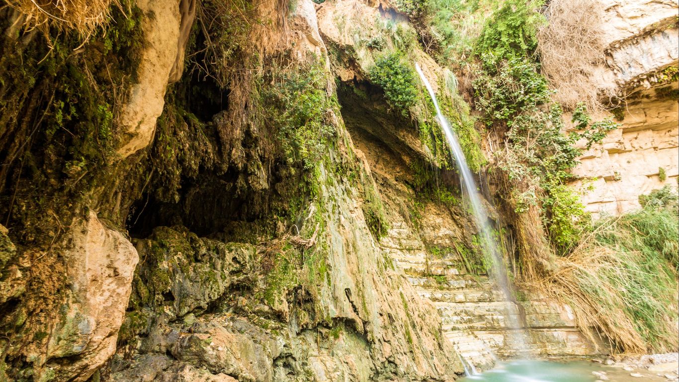 Hotels in En Gedi