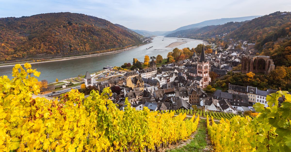 ReiseGuide für Bacharach Tourismus in Bacharach KAYAK