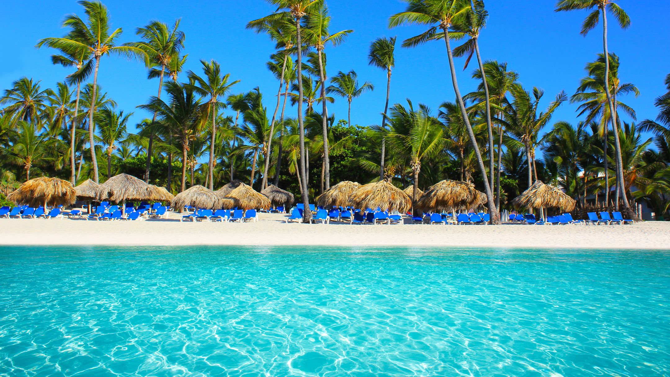 Punta Cana Vol Vols Directs Pour Punta Can A AJRATW punta-cana-vol-vols-directs-pour-punta-can-a-ajratw