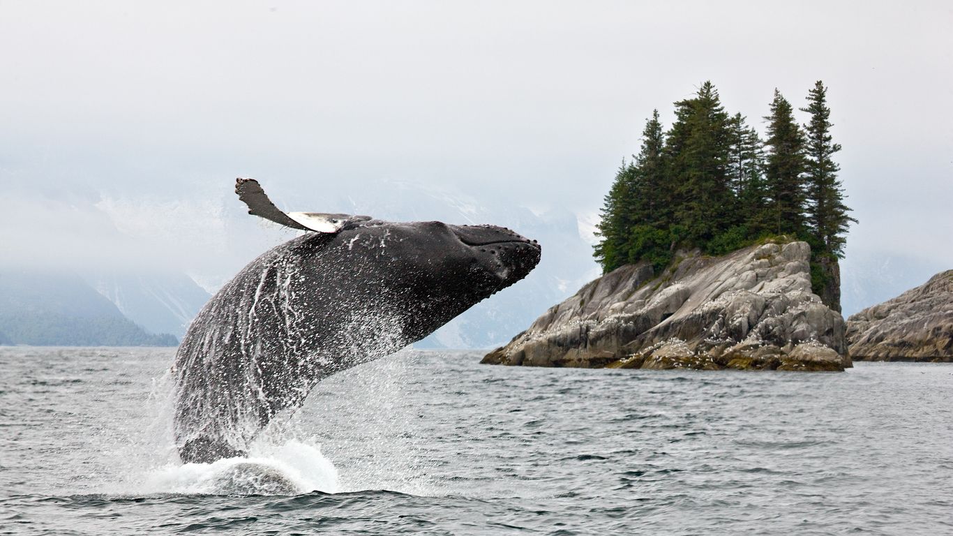 Alaska Alaska