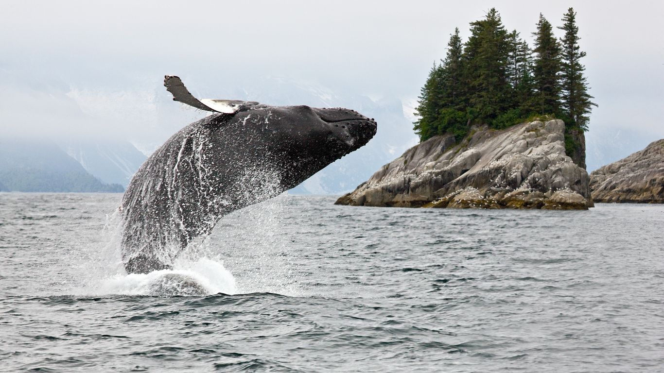 Holidays in Alaska