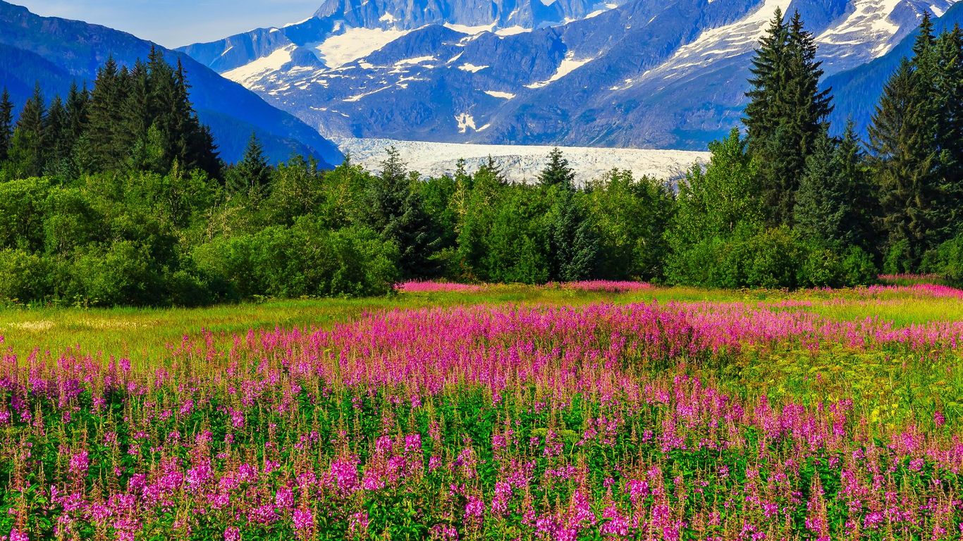 Flights to Alaska