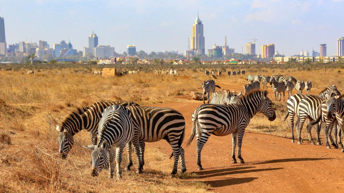 Flights to Kenya