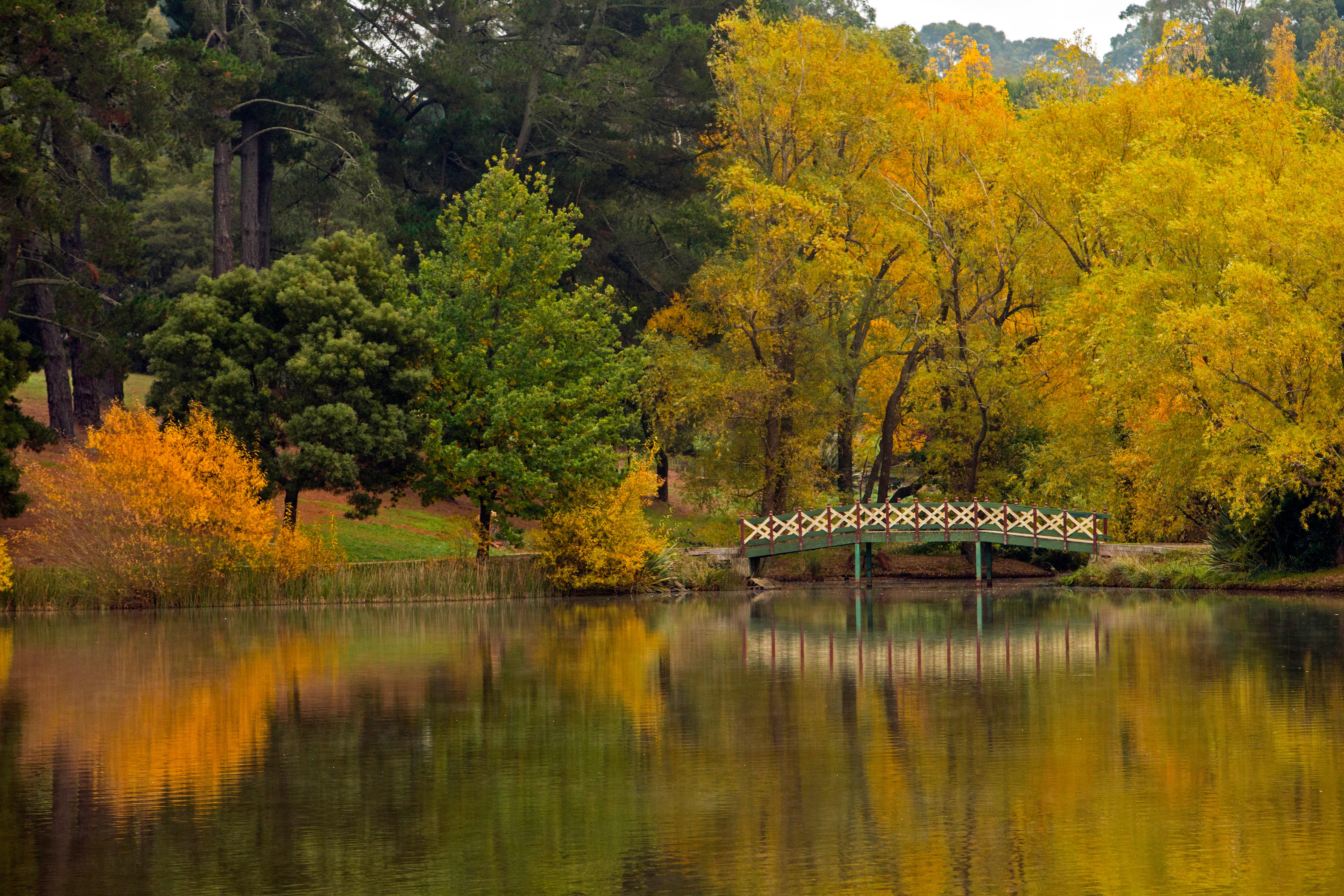 Daylesford Travel Guide | Daylesford Tourism - KAYAK