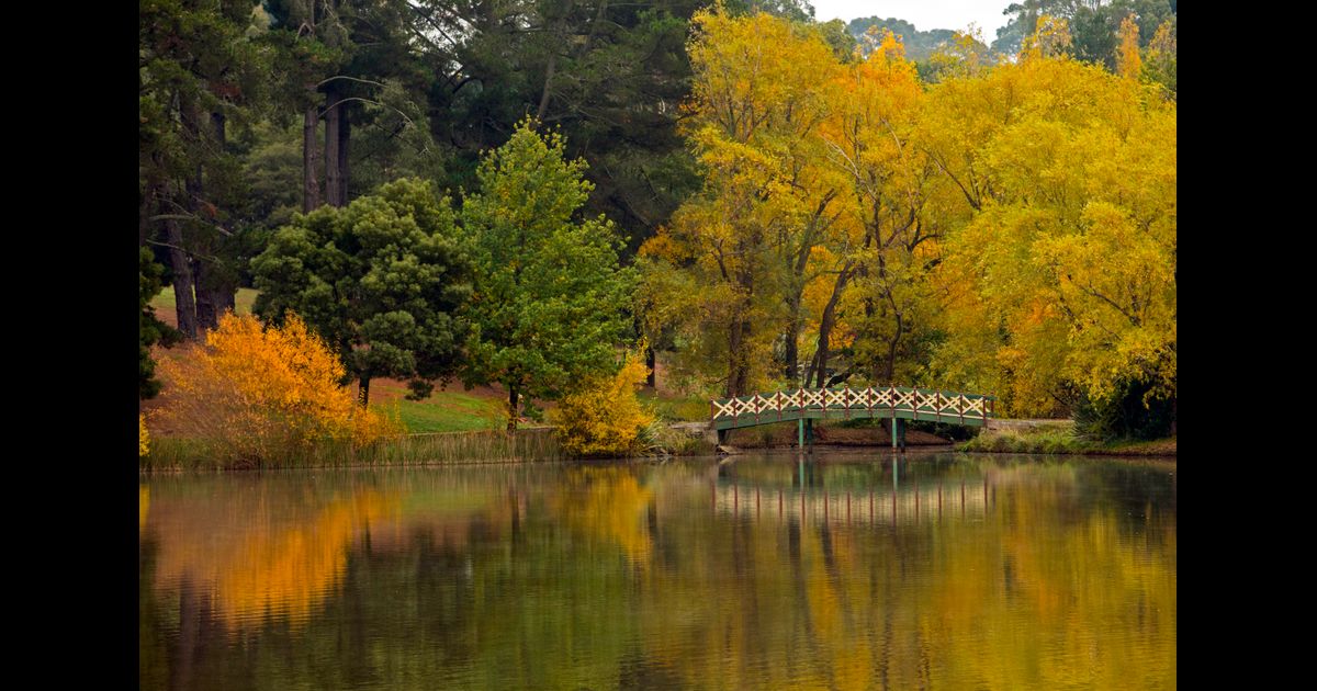 Car Hire in Daylesford and the Macedon Ranges from 0/day Search for