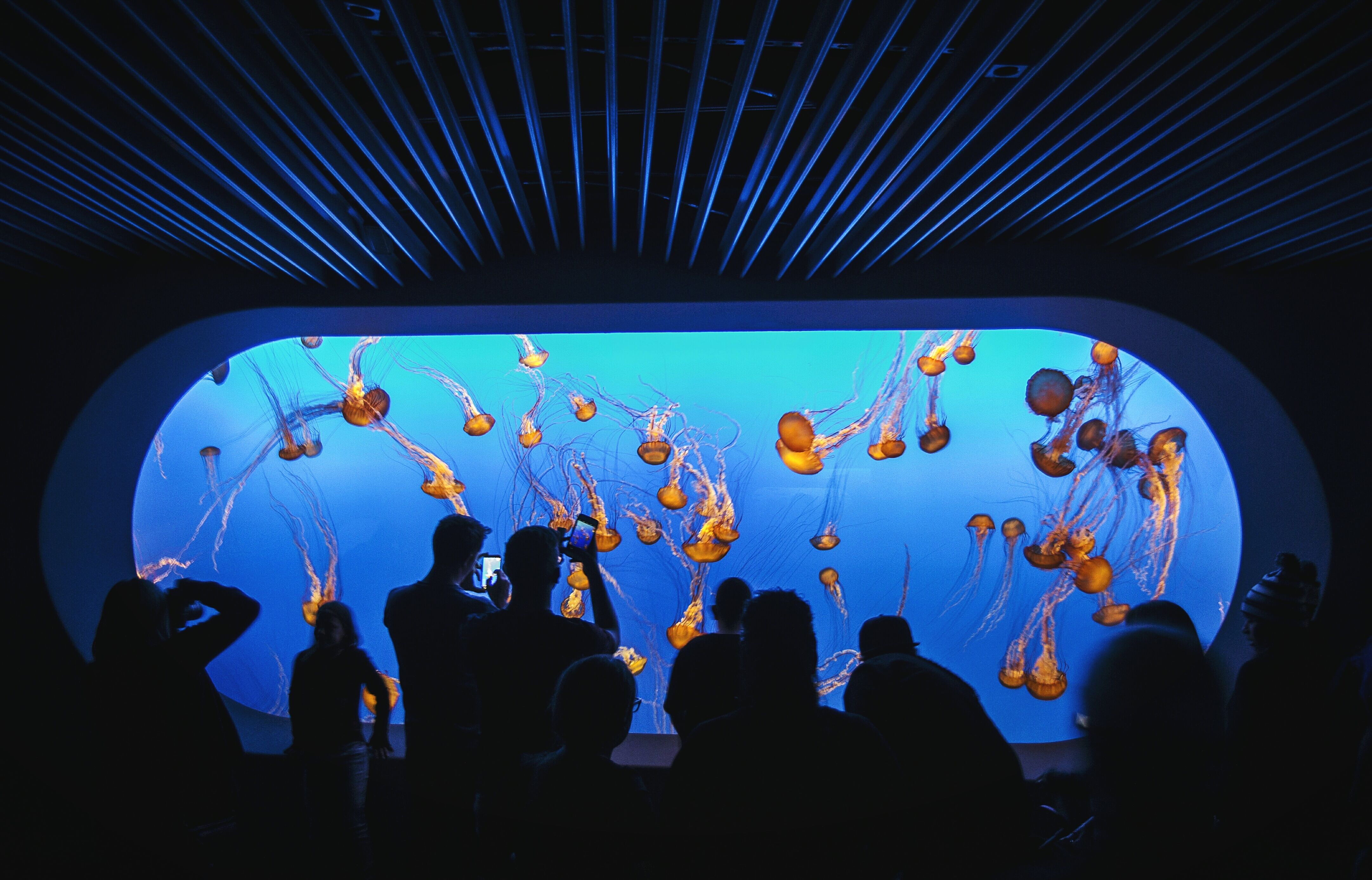 Monterey Bay Aquarium
