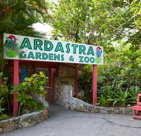 Ardastra Gardens