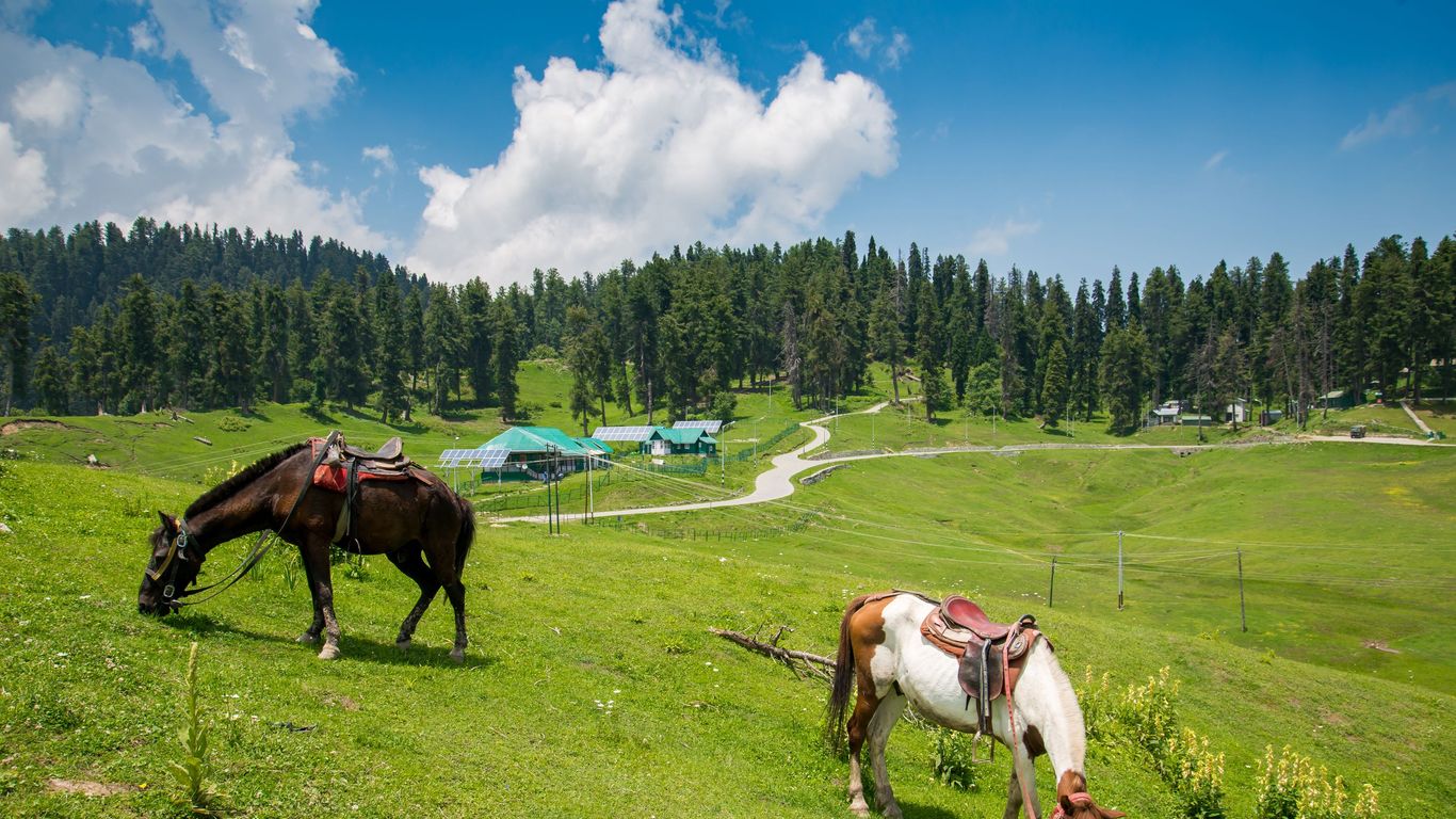 Hoteles en Gulmarg