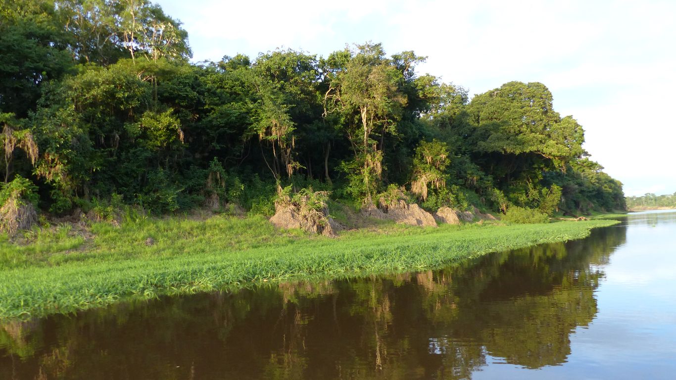 Flüge nach Amazonas