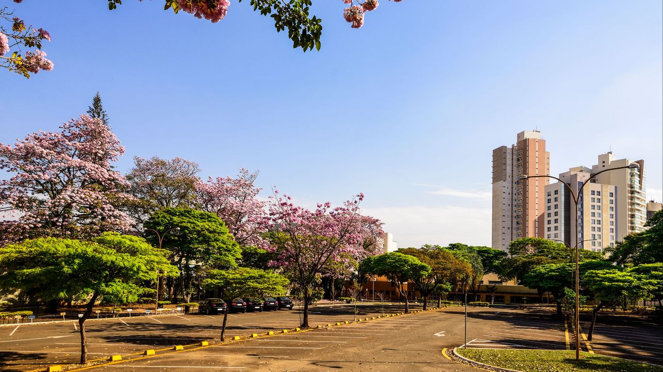 Flights to Londrina