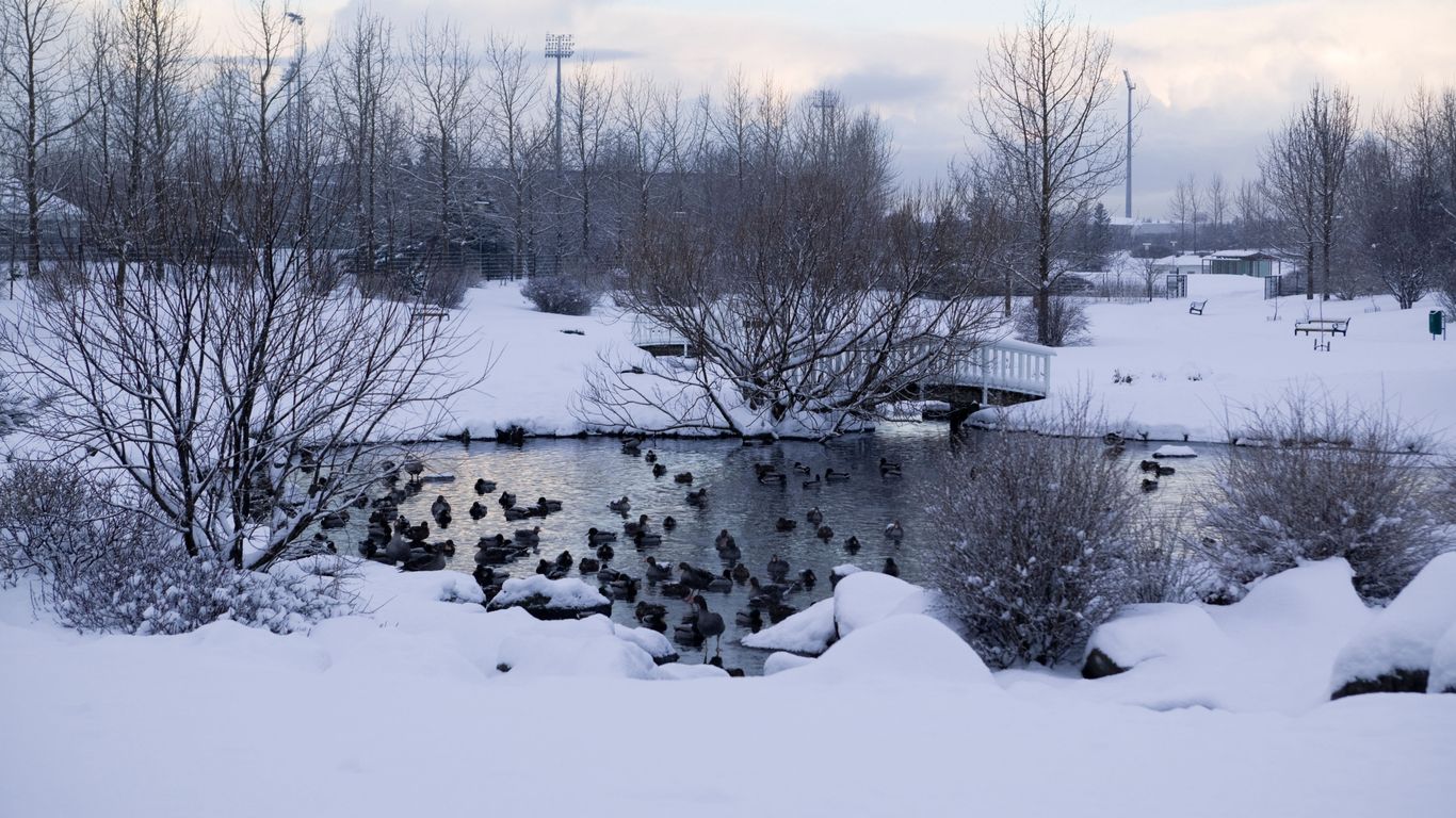 Hotels in Laugardalur