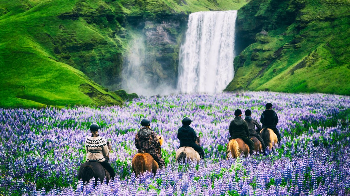 Hoteller i Eyvindarhólar