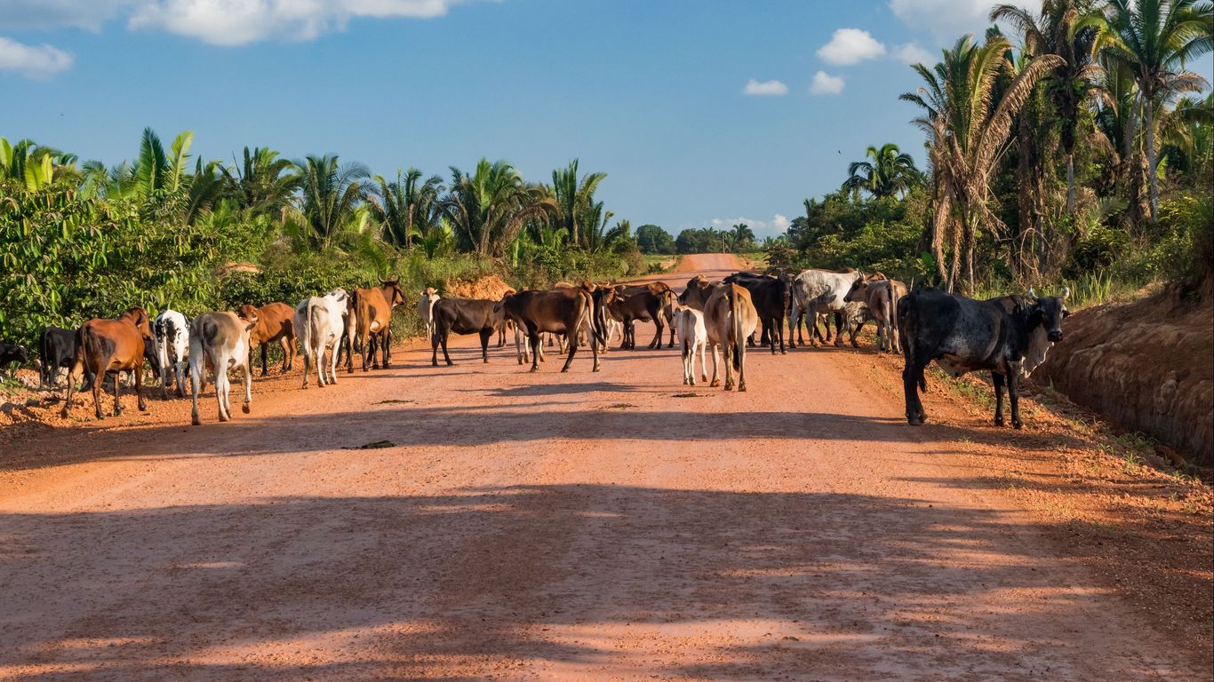 Rondônia Rondônia