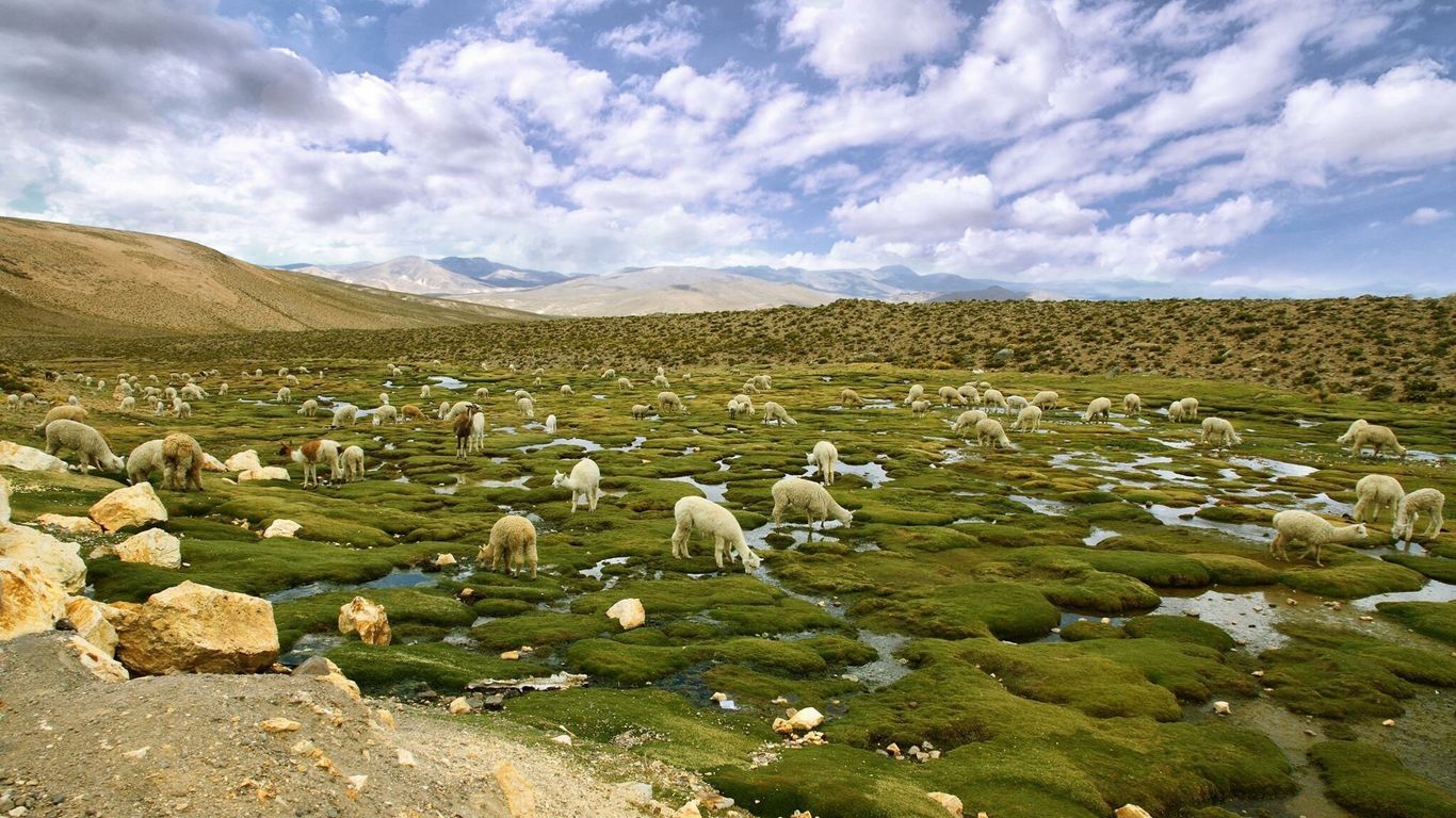 Flights to Atacama