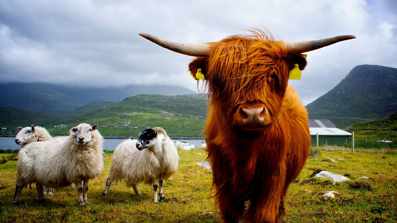Scotland Scotland