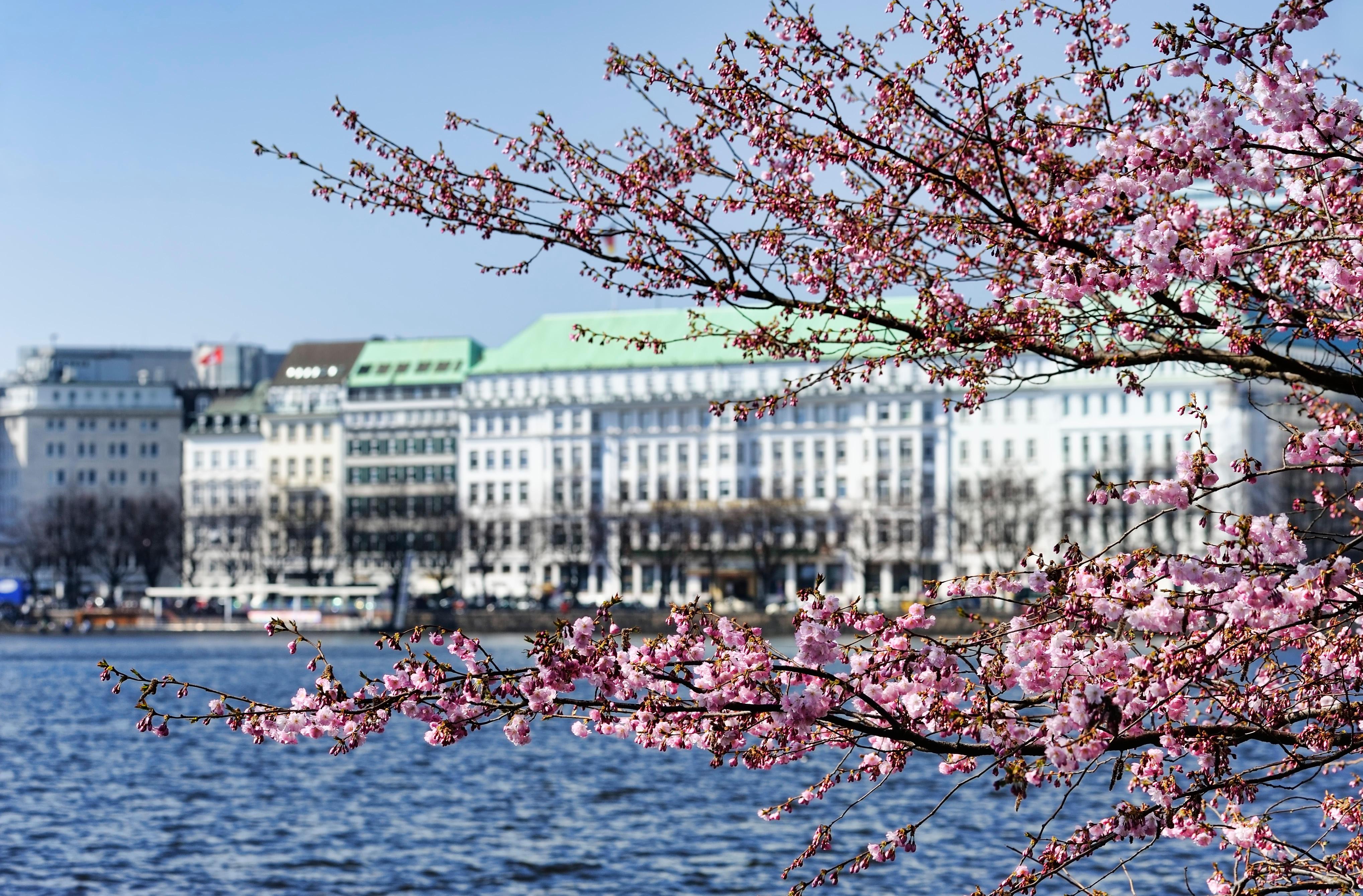 Trains from Berlin to Hamburg from 8 Find tickets on KAYAK