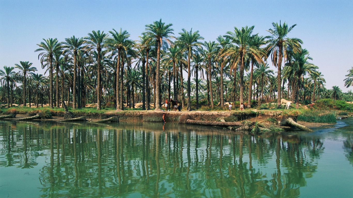 Flights to Aéroport Intl de Bassorah