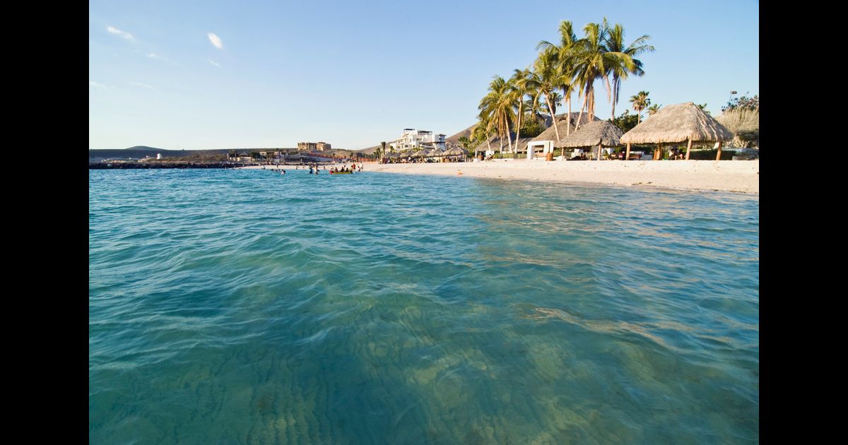 Ace Car Rentals in La Paz from 5/day KAYAK