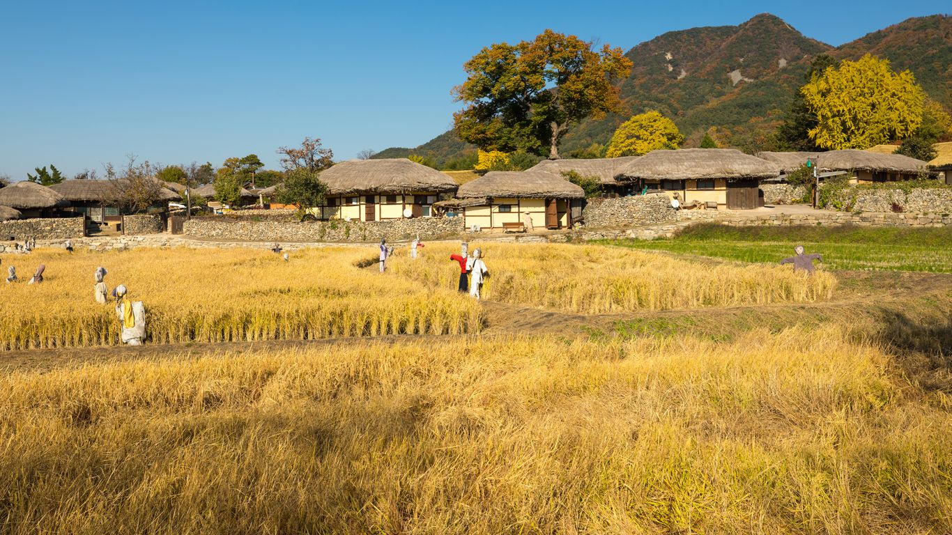 Hotels in Asan
