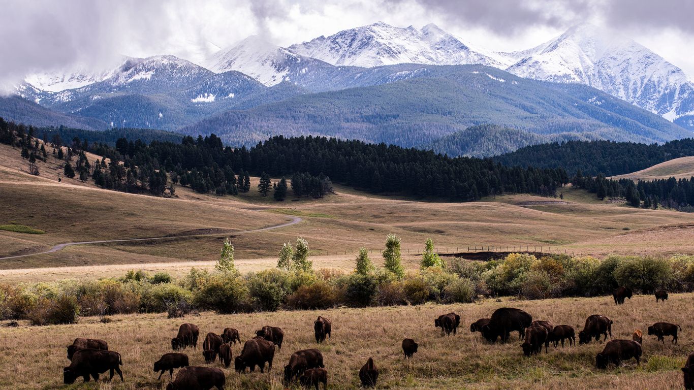 Holidays in Bozeman