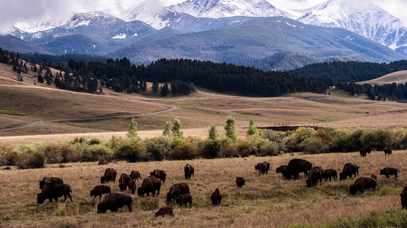 Bozeman Bozeman