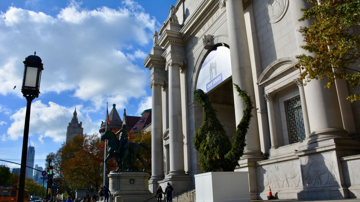 Hotels in American Museum of Natural History