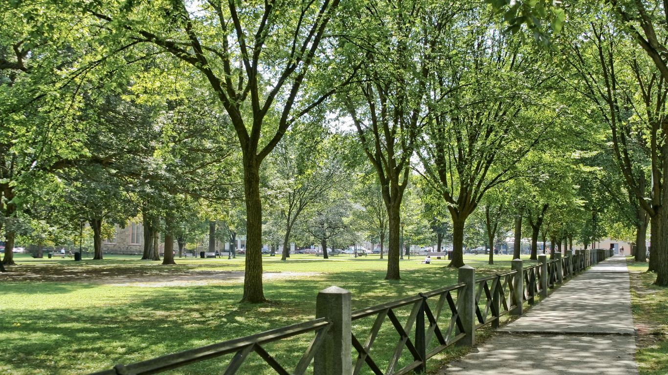 New Haven New Haven