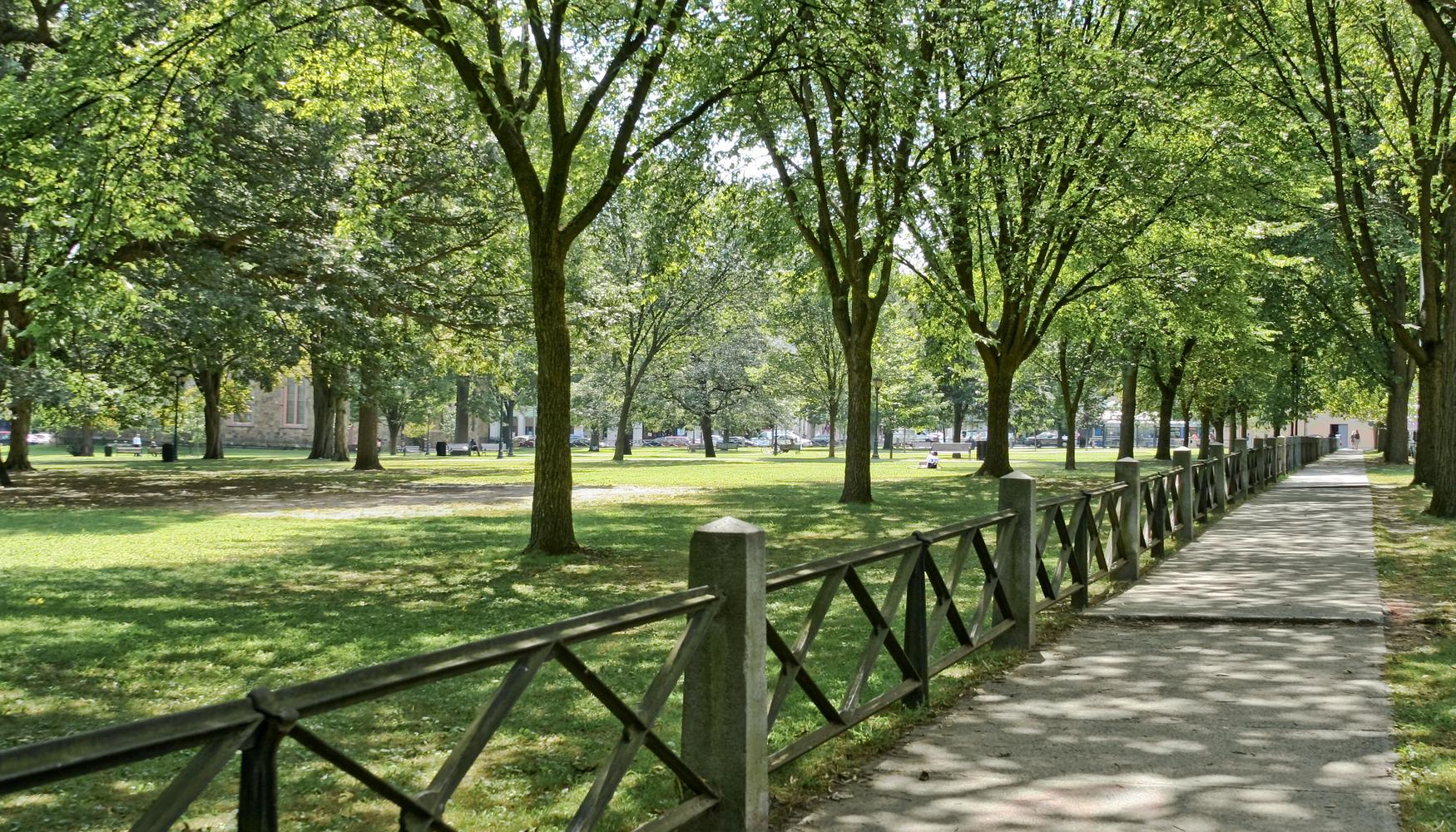 Car Rental At Tweed New Haven Airport From 32 Day Kayak