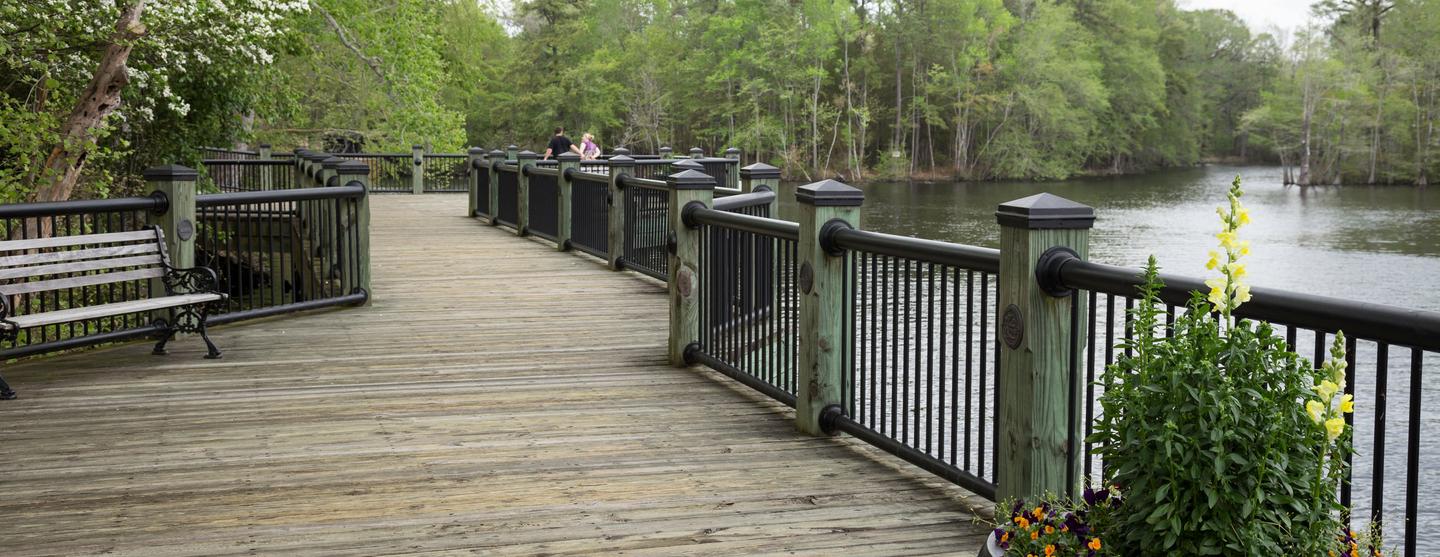Car Rentals in Conway, South Carolina Search on KAYAK Car Rentals in Conway, South Carolina Search on KAYAK