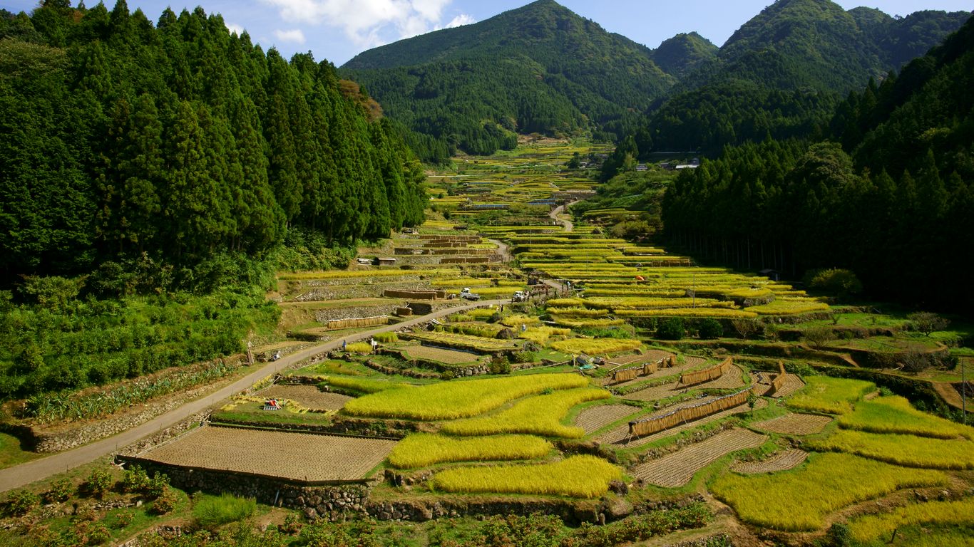 Hoteles en Shinshiro