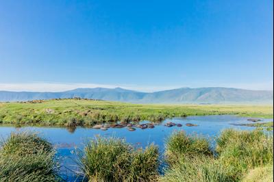 Mbuguni hotels