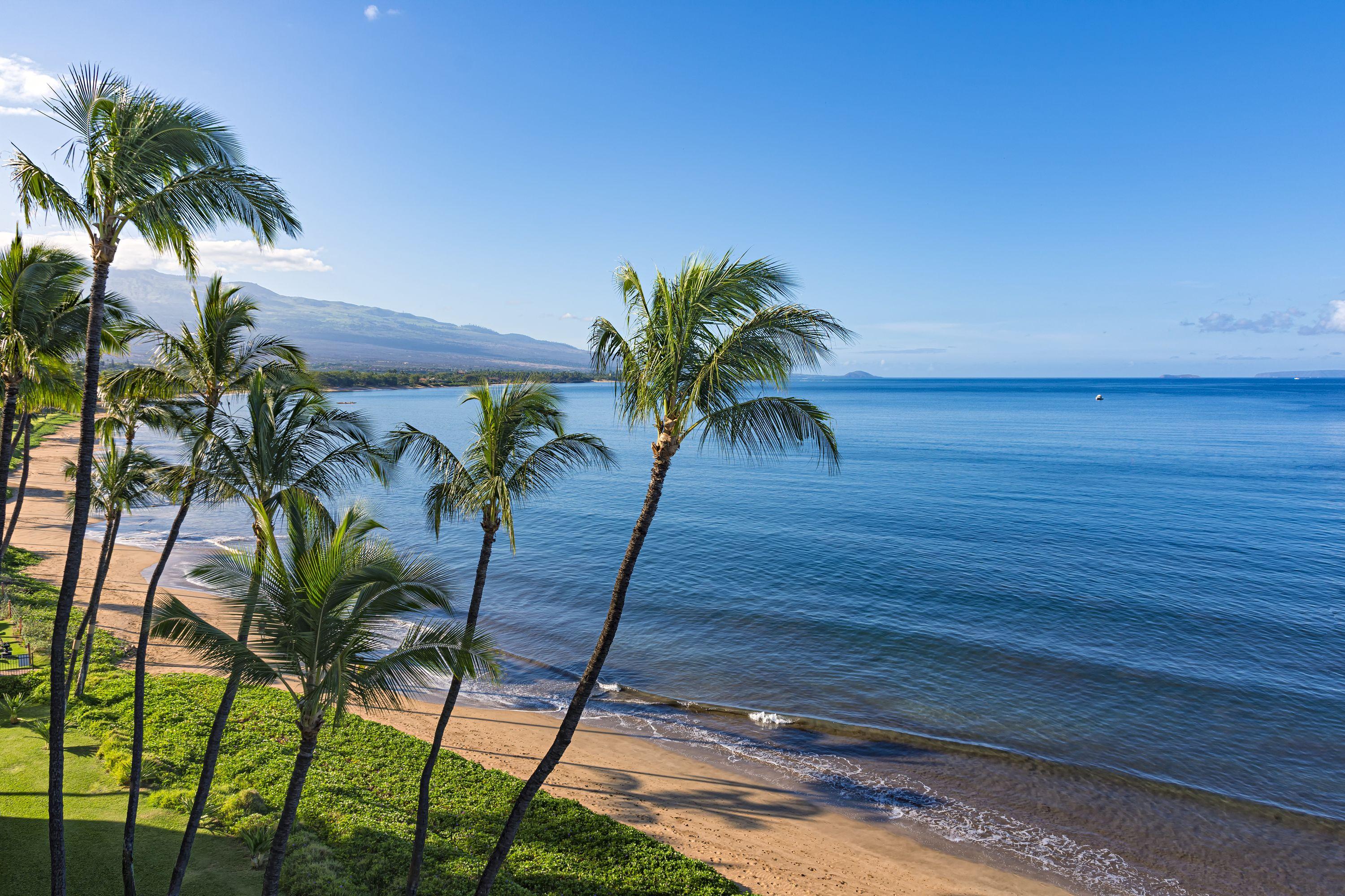 Car Hire in Maui from 25 day Search for car hire on KAYAK