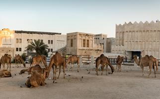 Souq Waqif