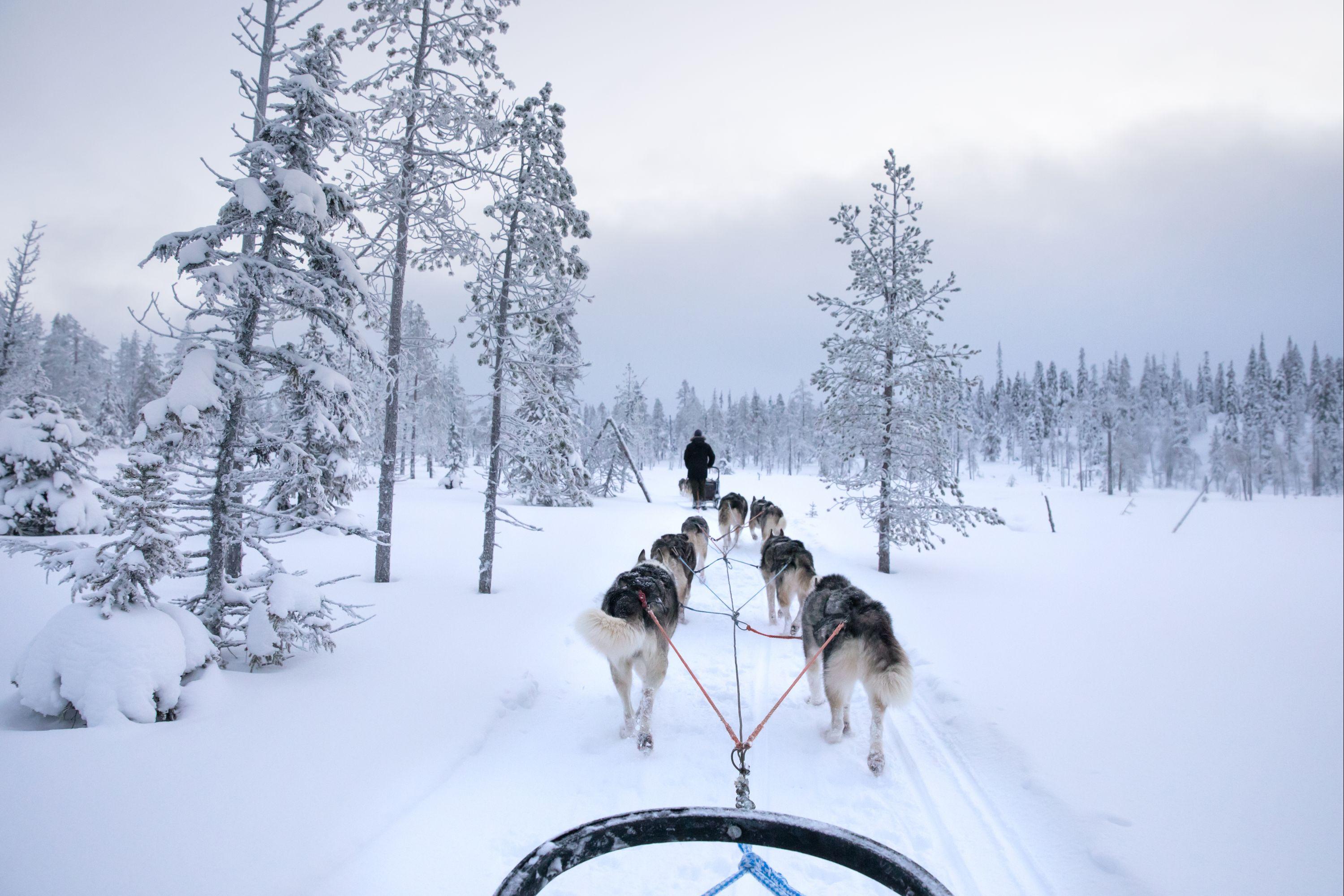 Reise-Guide Für Kuusamo | Tourismus In Kuusamo – KAYAK