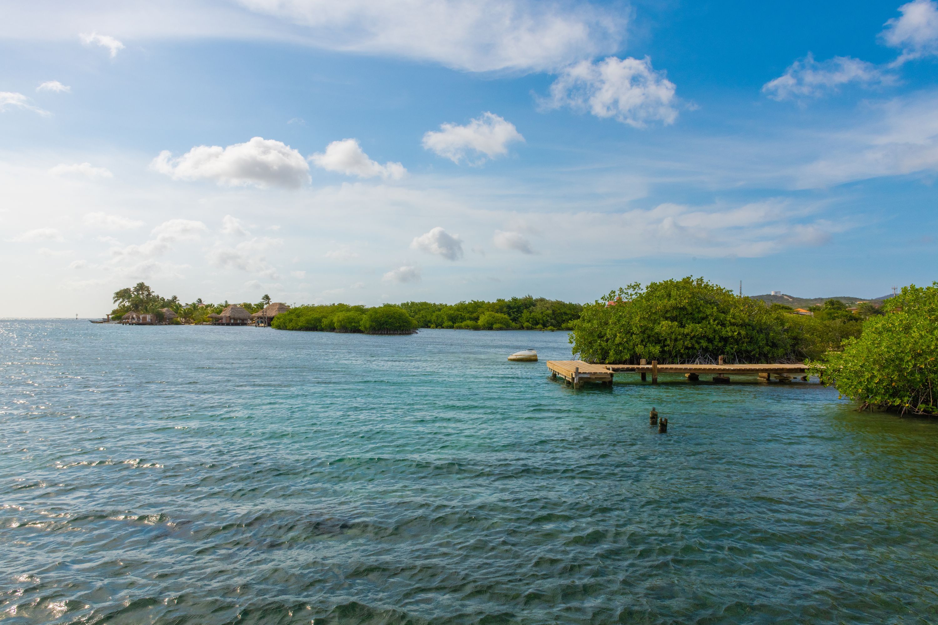 Cheap Flights from Los Angeles to Aruba from 233 KAYAK