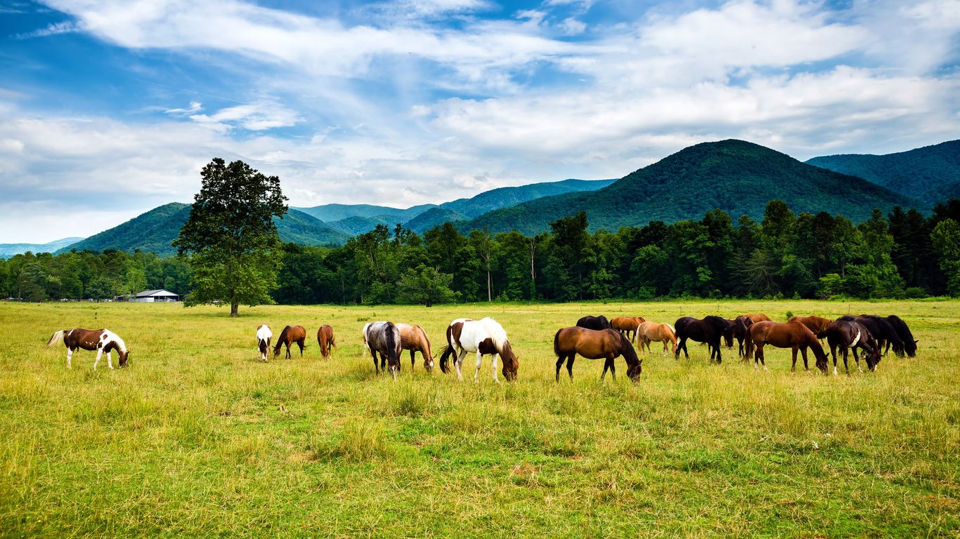 Tennessee Tennessee
