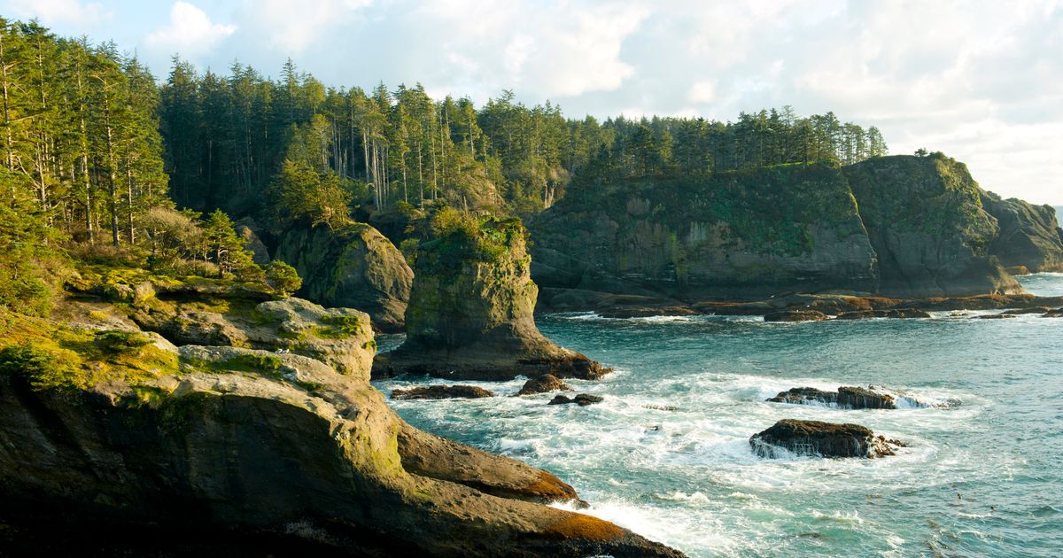 Neah Bay Travel Guide | Neah Bay Tourism - KAYAK